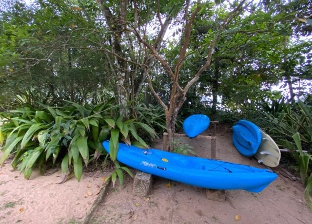 WhatsApp Image 2020-10-25 at 22.44.23 (6)