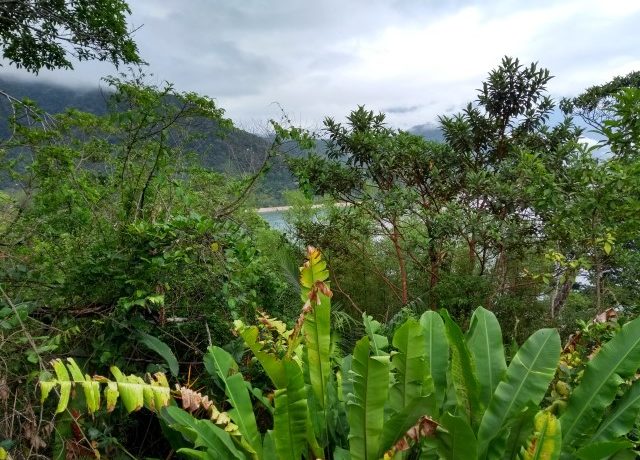 IMG_20171227_184841748_HDR