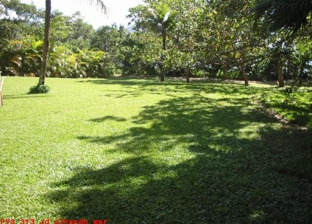 PVS313 Jardim olhando p mar