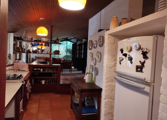 IMG_20220614_143647931