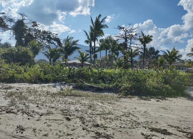 IMG_20230821_142421539_HDR