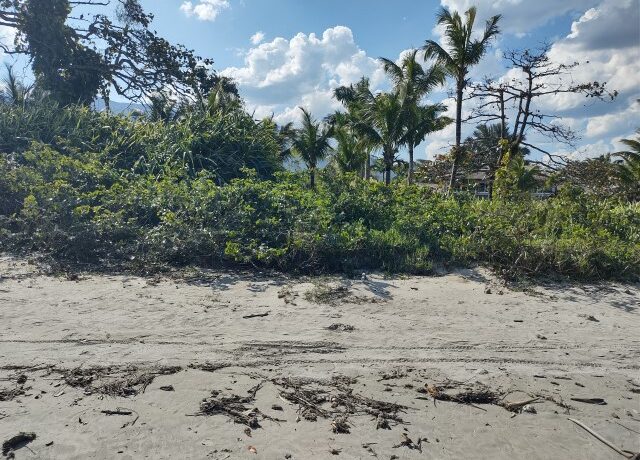 IMG_20230821_142440002_HDR