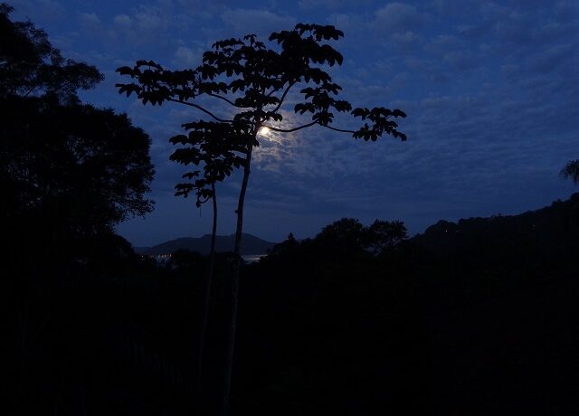 Vista deck - noturna 2